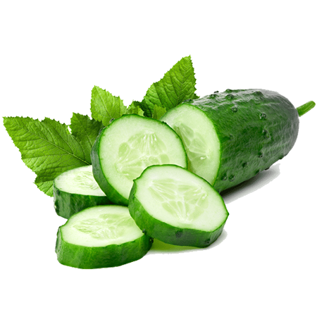 aryavendraseeds.com