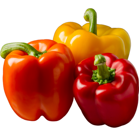 aryavendraseeds.com
