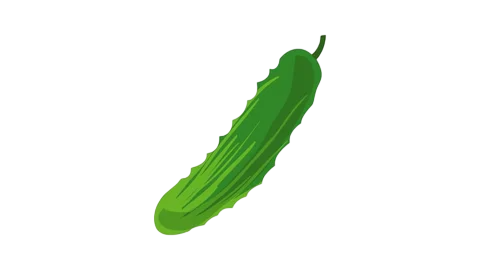aryavendraseeds.com