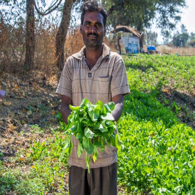 aryavendraseeds