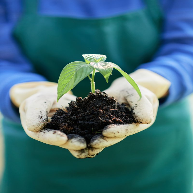 aryavendraseeds.com