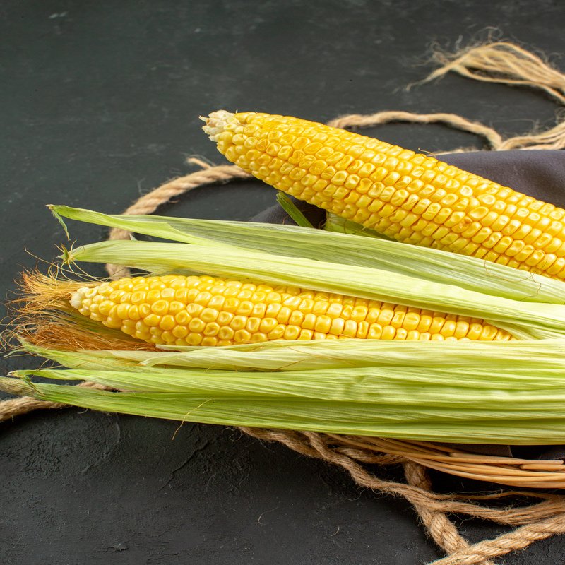 aryavendraseeds.com